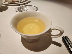 荞麦茶-西郊5号·Maggie 5