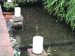 -闲亭(九眼桥店)