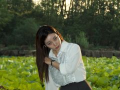 -合肥滨湖国家森林公园