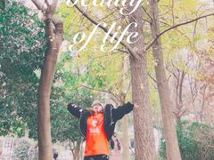 -上海银珠苑度假村-地面停车场