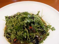 -鸿星花园酒家(银亿家园店)