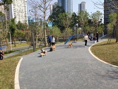 -景田北六街公园宠物主题园