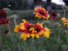 -汉长安城未央宫国家考古遗址公园