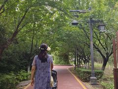 -西安汉城湖景区