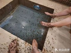 -中家鑫园温泉酒店鑫悦汤泉