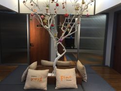 大堂-FineYoga梵音瑜伽·普拉提