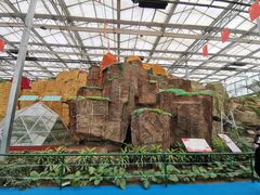 -兰陵国家农业公园