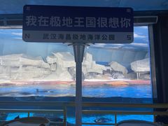 -海合安武汉极地海洋公园