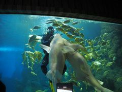 -左海海底世界