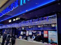 -农垦博纳国际影城(津奥广场IMAX店)