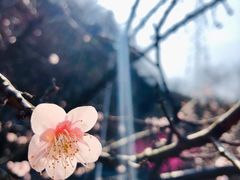 -幕燕滨江·长江观音景区