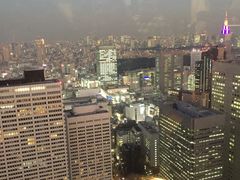 -东京都厅舍