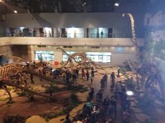 -自贡恐龙博物馆