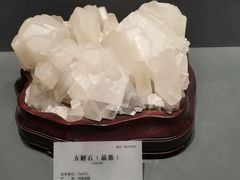 -湖南省地质博物馆