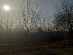 -永定河休闲森林公园