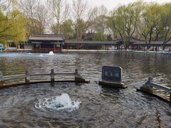 -百脉泉景区