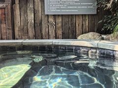 -宁海森林温泉
