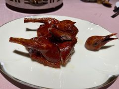 金牌妙龄乳鸽-新荣记(南京西路店)