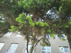 android_upload_pic-辽宁大学(崇山校区)