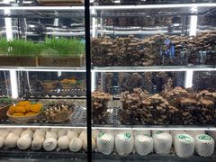 -大头椰·椰子鸡火锅(南宁万象城店)