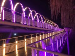 -大兴滨河森林公园