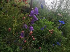 -白草畔自然风景区