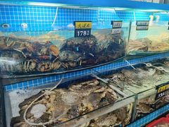 -望海潮海鲜店 特色家常菜(在海一方店)