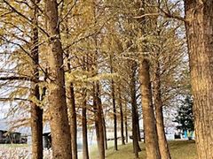 -尚贤河湿地