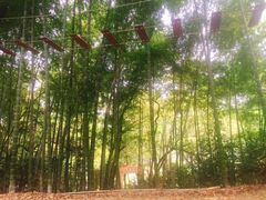 -石燕湖生态旅游景区