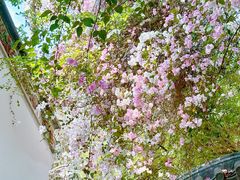 -深圳国际园林花卉博览园