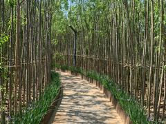 -天津东丽湖风景区