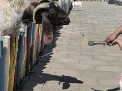 -西部长青自然儿童乐园