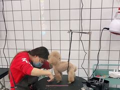 -BABIT巴比特宠物(MOMOPARK店)