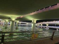 -演武大桥观景平台