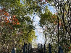 -白帝城·瞿塘峡景区