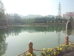 android_upload_pic-金城公园