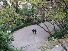 -中山公园(石岐街道)