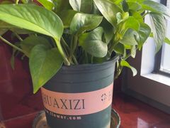 -西部马华清真兰州牛肉面·烧烤夜市(关东店)