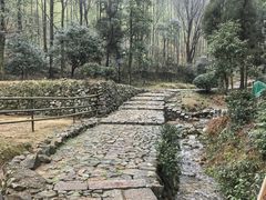-仙霞关景区