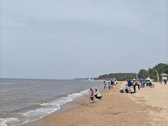 -叶存利海鲜大馅饺子(海宁路总店)