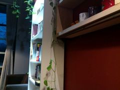 -PIZZERIA大黄鸭披萨