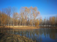 -东郊湿地公园