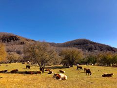 -塞罕坝国家级自然保护区