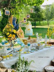 -Aimee'sCake婚礼甜品台·企业商务茶歇