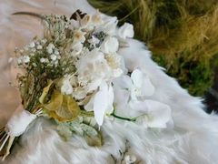 -海南清水湾莱佛士酒店