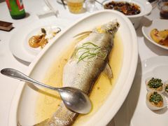 -席家花园(巨鹿花园店)
