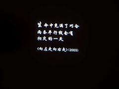 -星河寰宇IMAX影城(星河WORLD·COCO Park店)