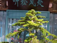 -渝乡辣婆婆·川菜 水煮鱼(中山西路店)