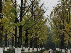 -百林公园-两江幸福广场