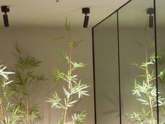 -绿茶餐厅(淮安吾悦广场店)